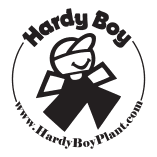 Hardy Boy